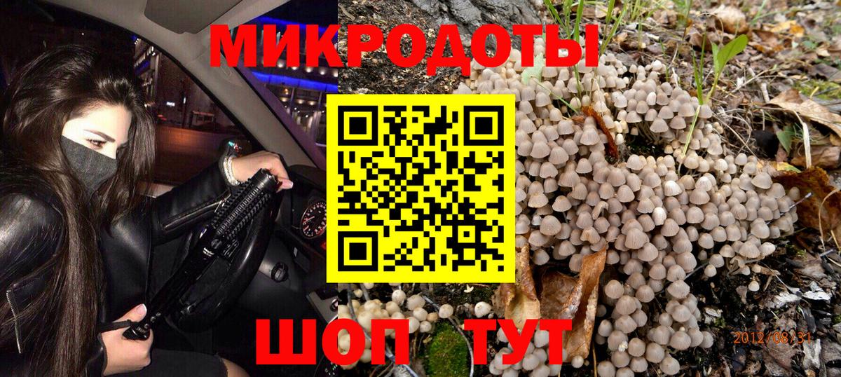 Щёкино  Галлюциногенные грибы Psilocybe  Галлюциногенные грибы мицелий  Вход с VPN 